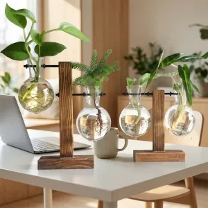 Glass Hydroponic Vases with Wooden Base — view 4